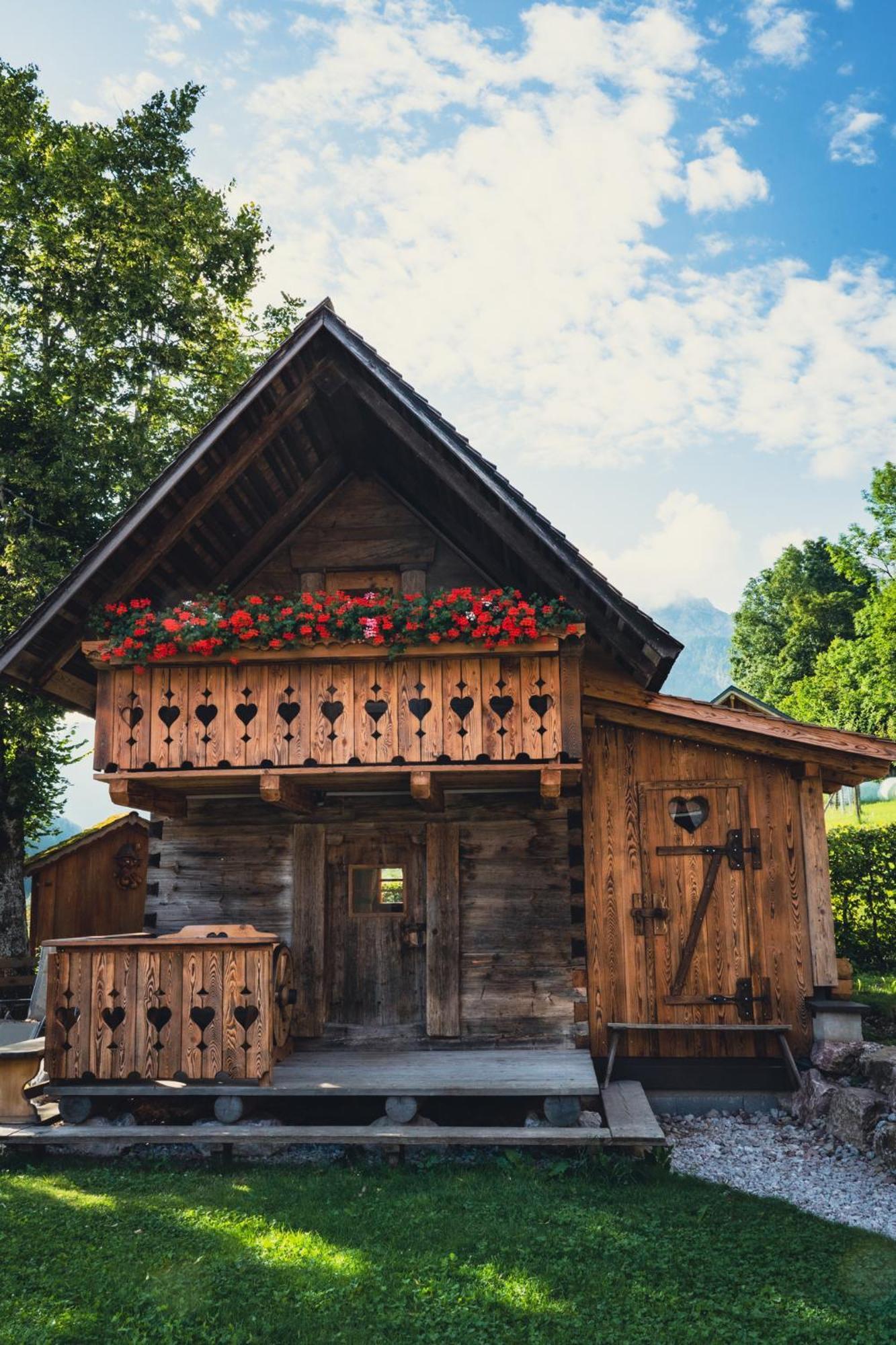 Singerskogel - Ferienhof Und Jausnstub'N Spital Am Pyhrn Extérieur photo