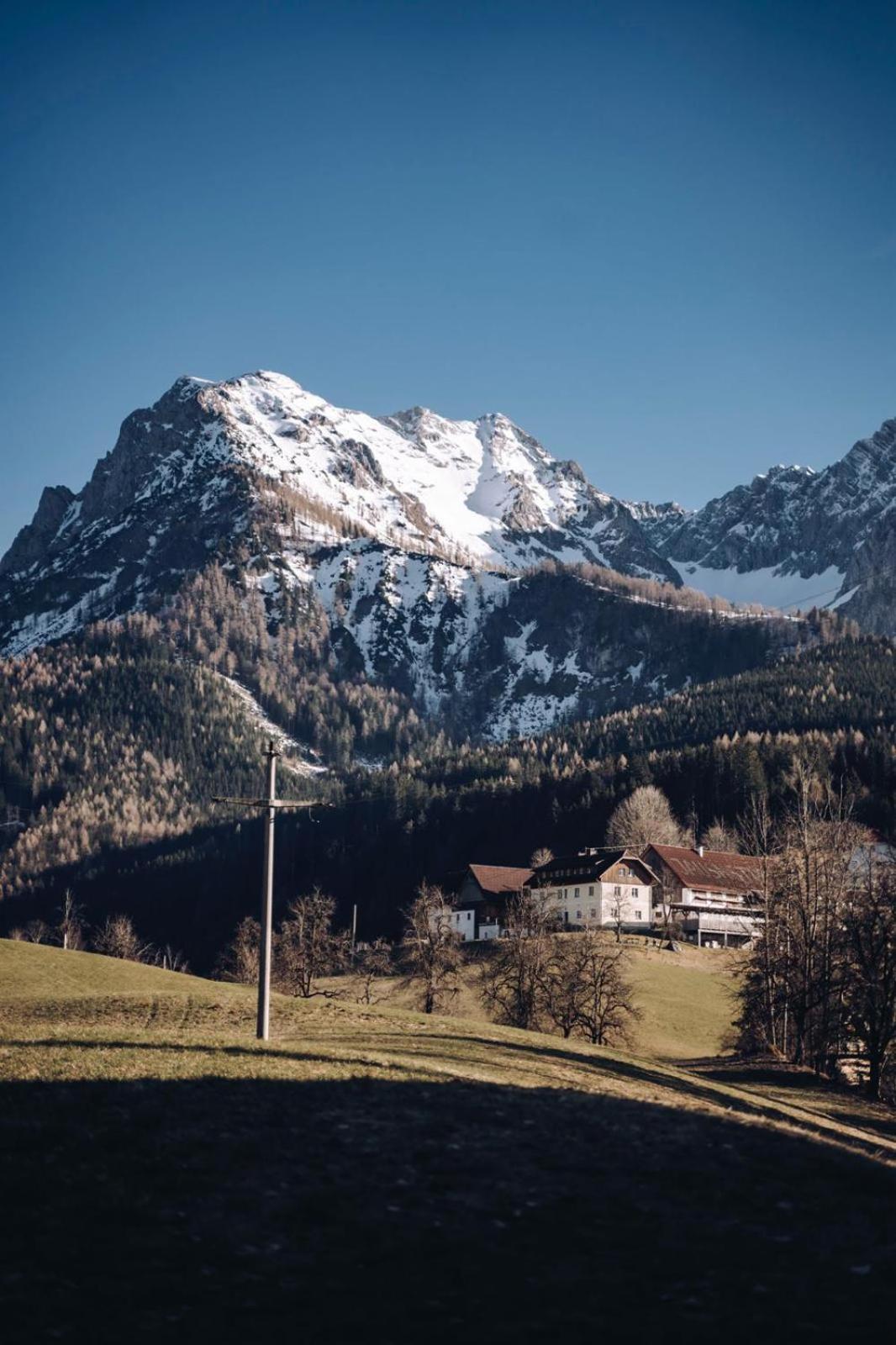 Singerskogel - Ferienhof Und Jausnstub'N Spital Am Pyhrn Extérieur photo