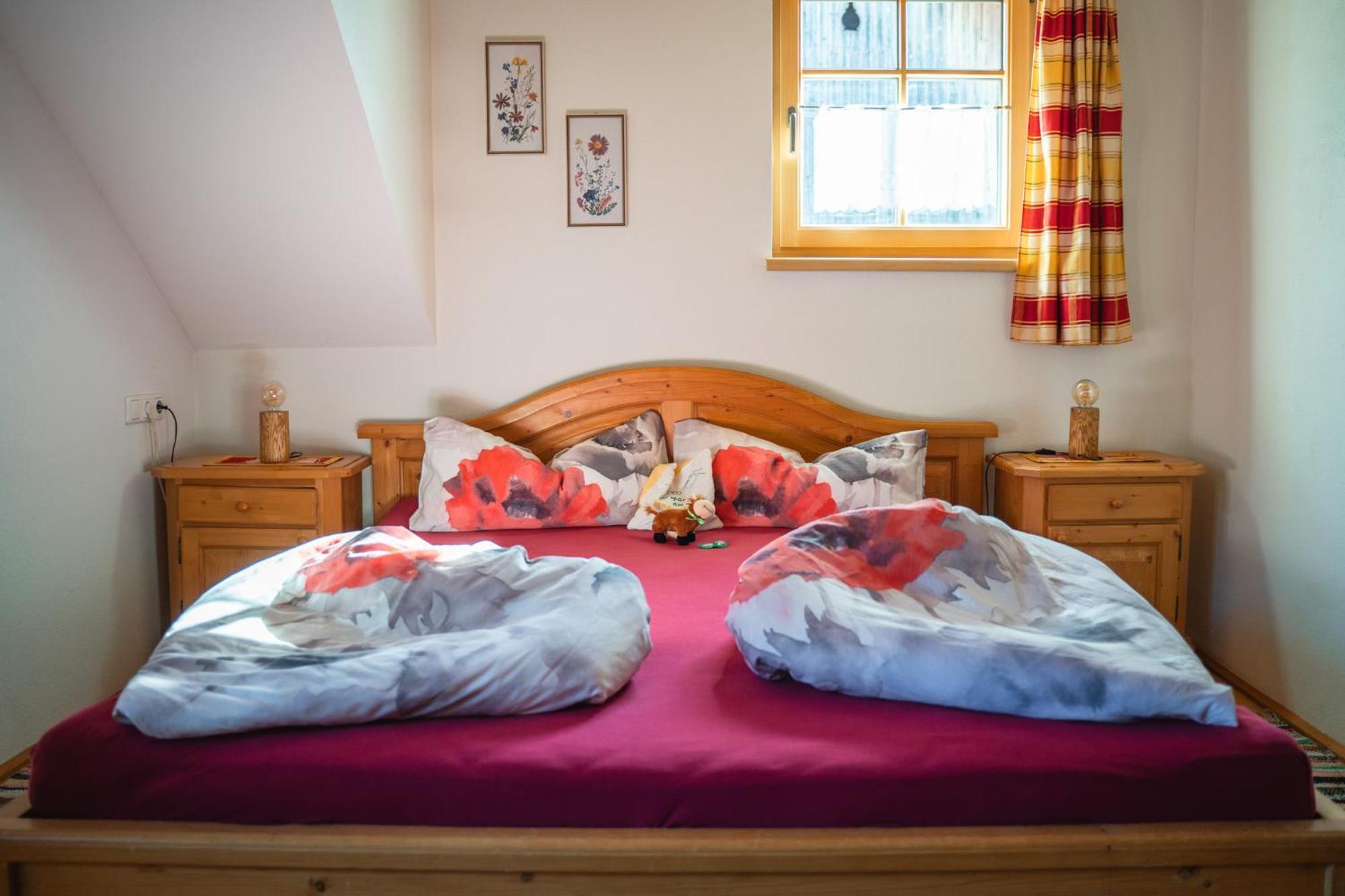 Singerskogel - Ferienhof Und Jausnstub'N Spital Am Pyhrn Extérieur photo