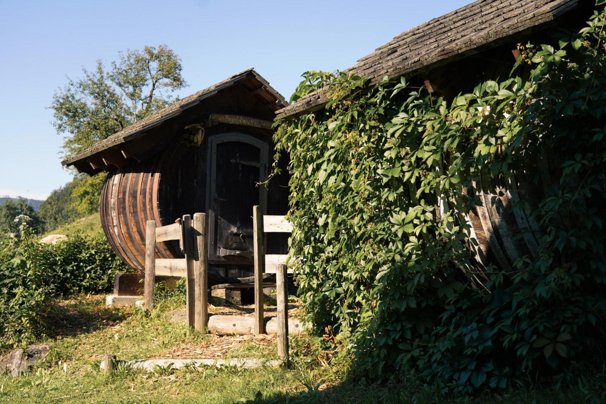 Singerskogel - Ferienhof Und Jausnstub'N Spital Am Pyhrn Extérieur photo