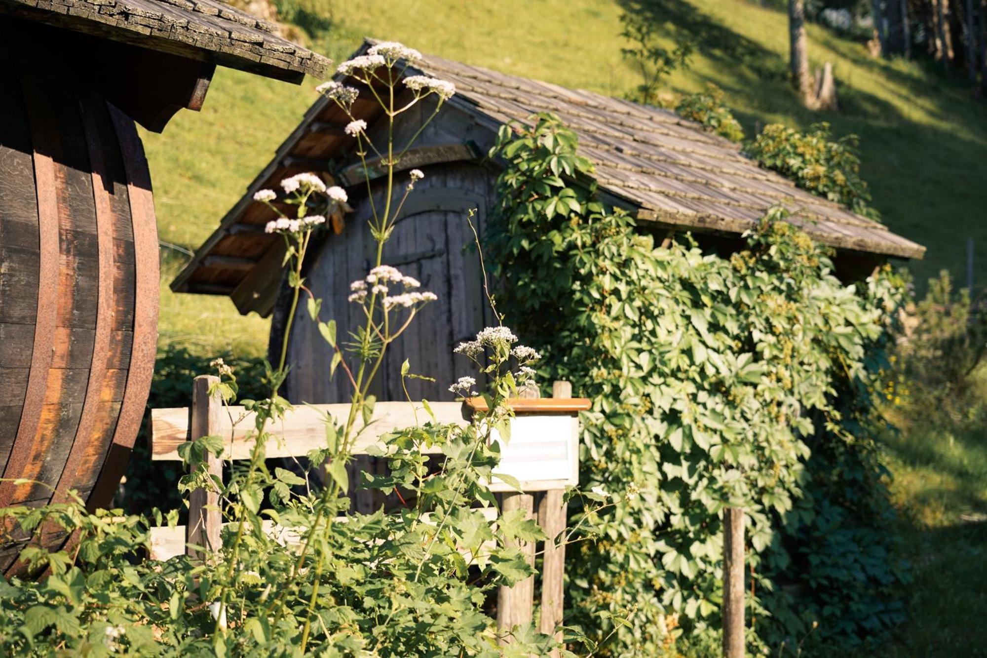 Singerskogel - Ferienhof Und Jausnstub'N Spital Am Pyhrn Extérieur photo