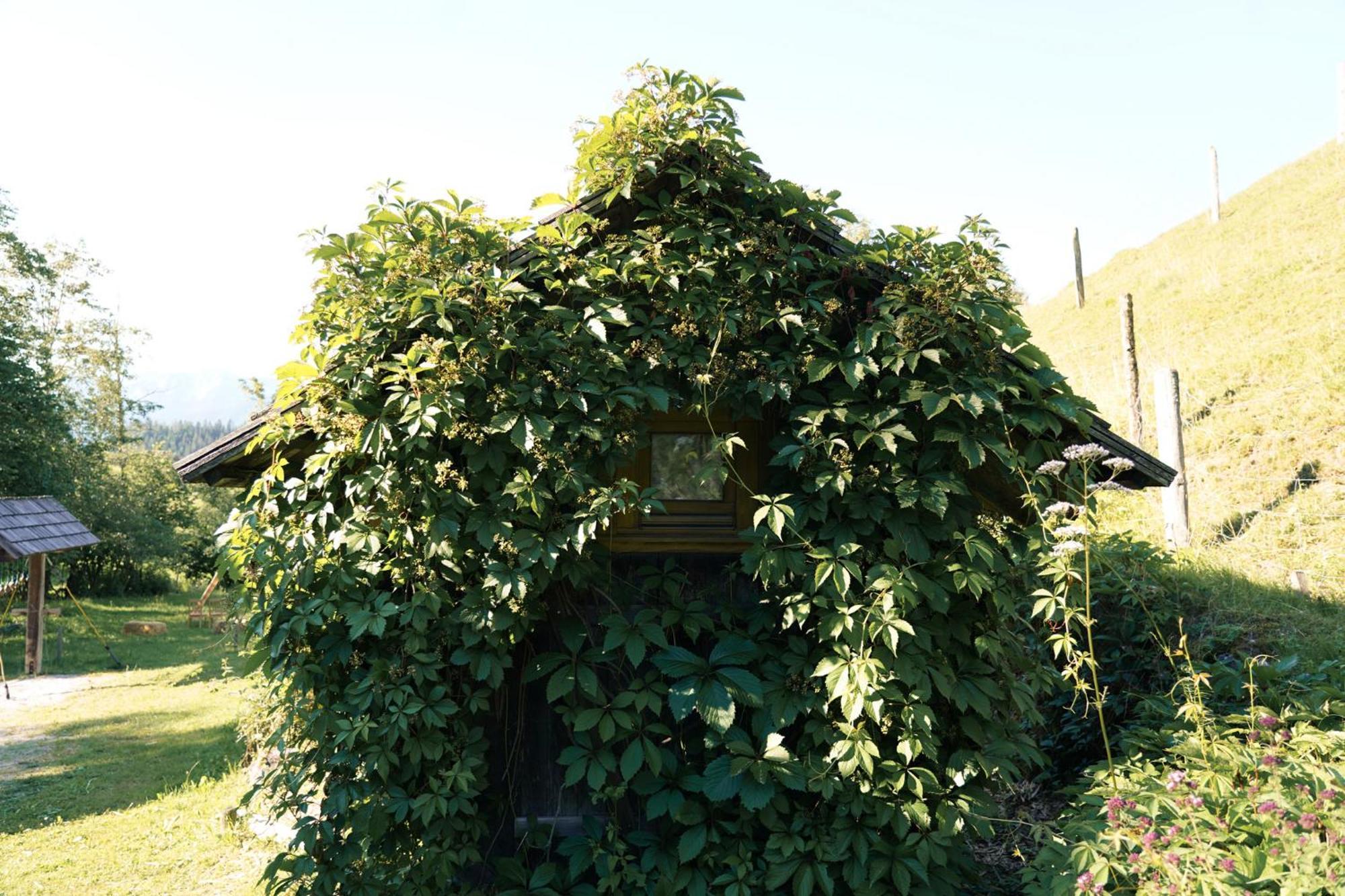 Singerskogel - Ferienhof Und Jausnstub'N Spital Am Pyhrn Extérieur photo
