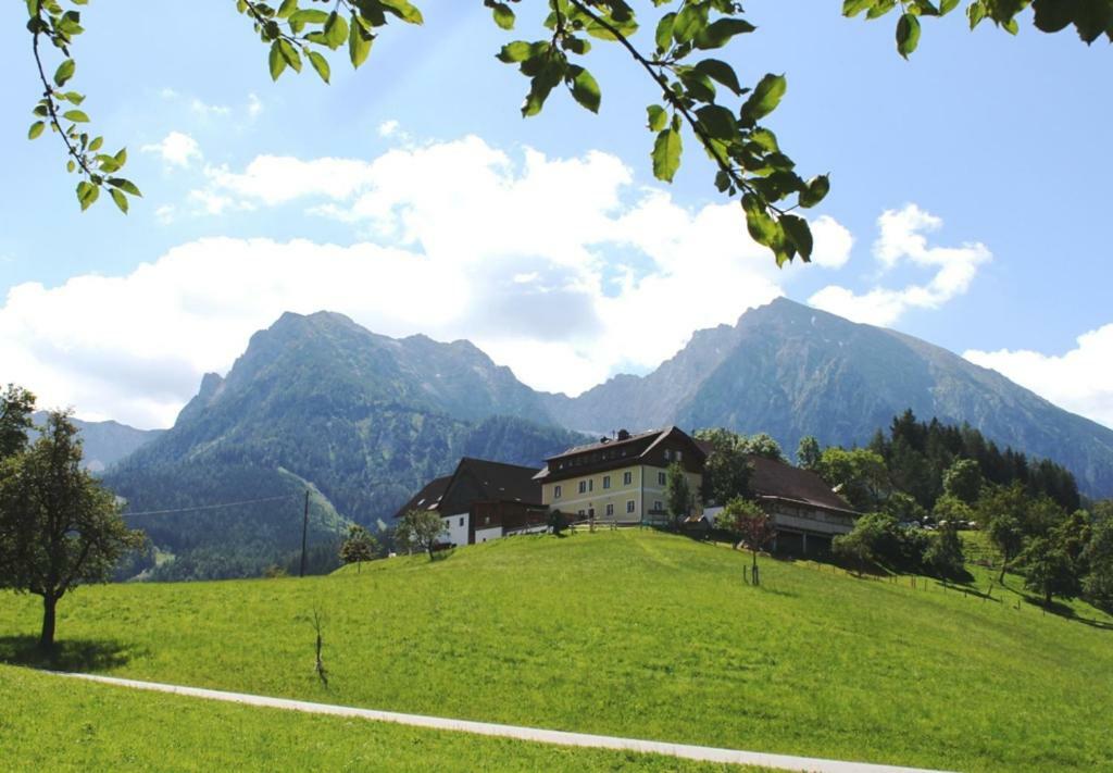 Singerskogel - Ferienhof Und Jausnstub'N Spital Am Pyhrn Extérieur photo